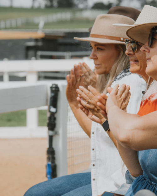 Horsemanship Clinics