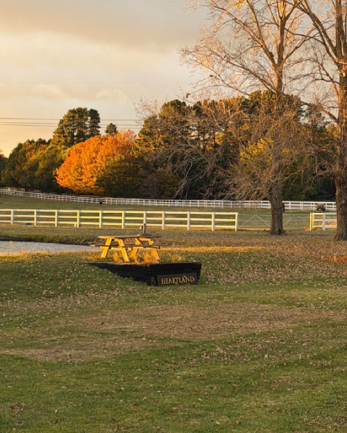 Horsemanship Clinics